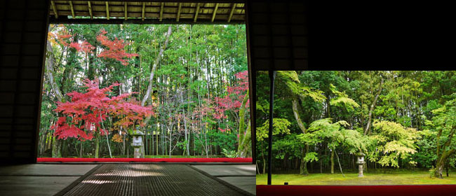 京都高桐院