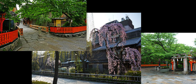 京都洛東祇園・白川