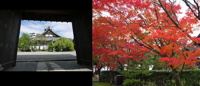 京都洛東妙法院