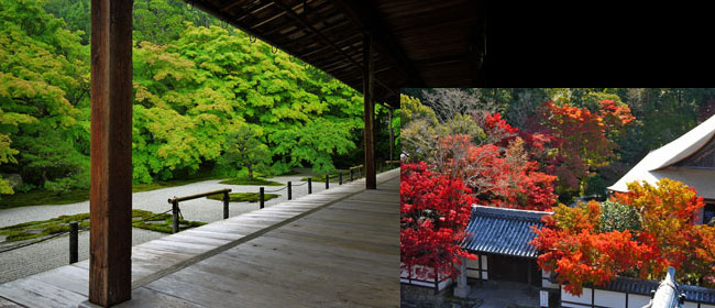 京都洛東天授庵