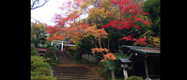 日向大神宮