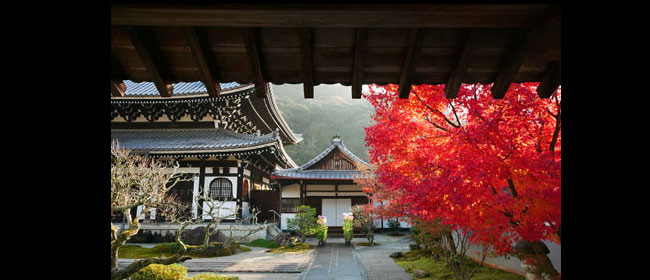 京都洛東光雲寺