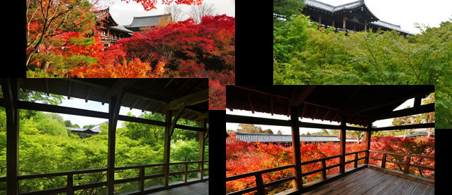 京都洛東東福寺