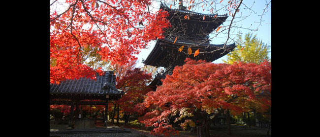 京都洛東真正極楽寺