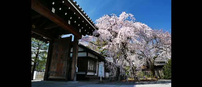 京都洛東聖護院