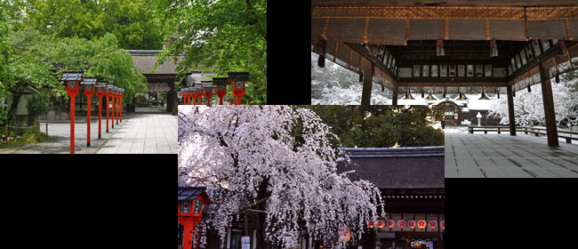 京都洛中平野神社