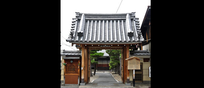 京都洛中称念寺:猫寺