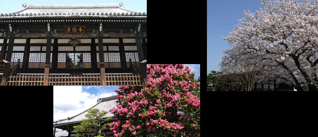 京都洛中本隆寺