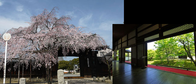 京都洛中妙覚寺
