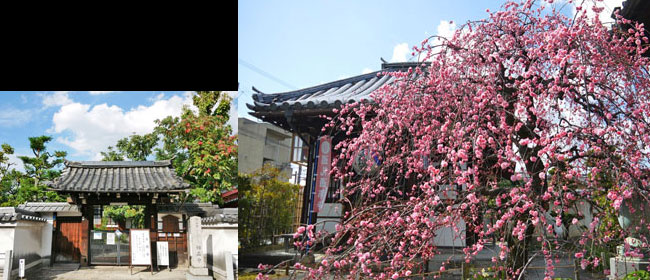 京都洛中祐正寺