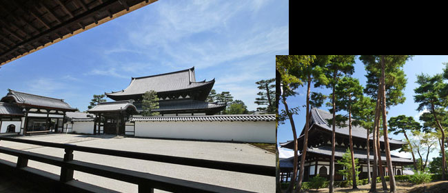 京都洛中相国寺