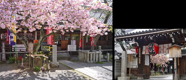 京都洛中護浄院:清荒神