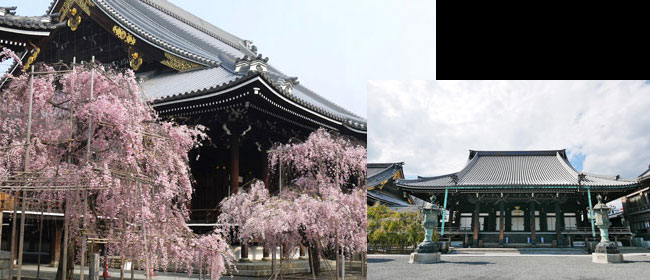 京都洛中佛光寺