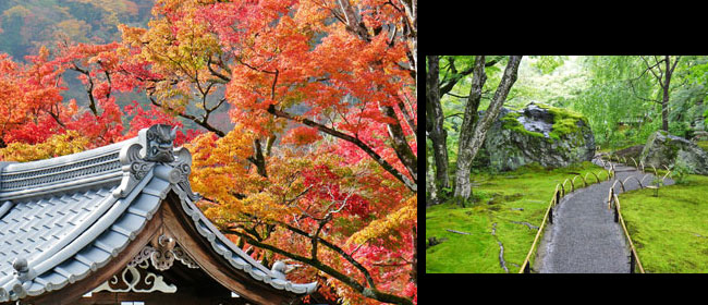 京都洛西宝厳院