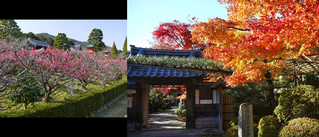 京都洛西正法寺:石の寺