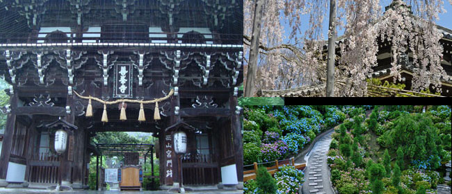 京都洛西善峰寺