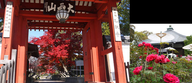 京都洛西乙訓寺