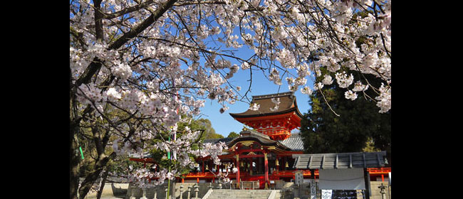 京都洛西石清水八幡宮