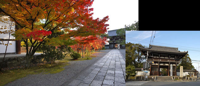 京都洛西広隆寺