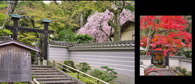 京都洛西三宝寺:鳴滝の妙見さん