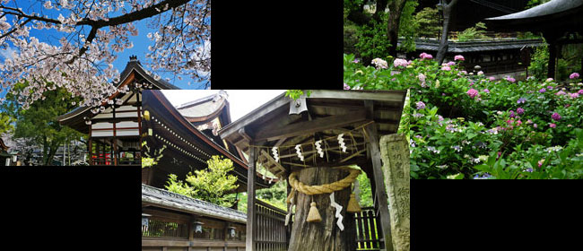 京都洛南藤森神社