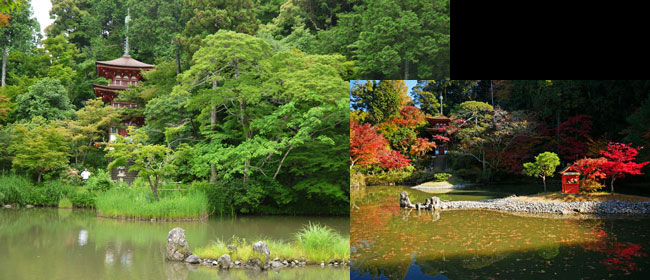京都洛南浄瑠璃寺:九体寺