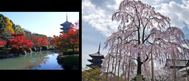 京都洛南東寺:教王護国寺