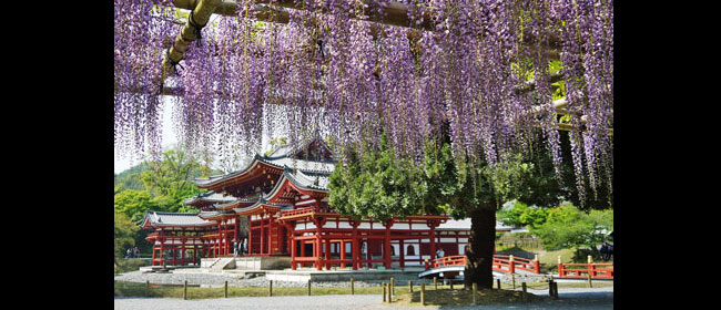 京都洛南平等院