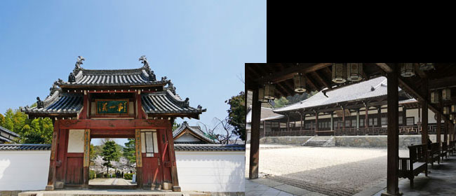 京都洛南萬福寺