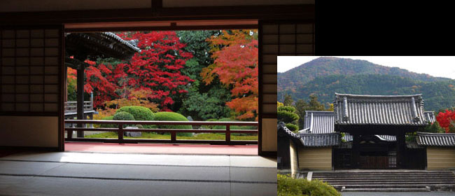 京都洛南随心院