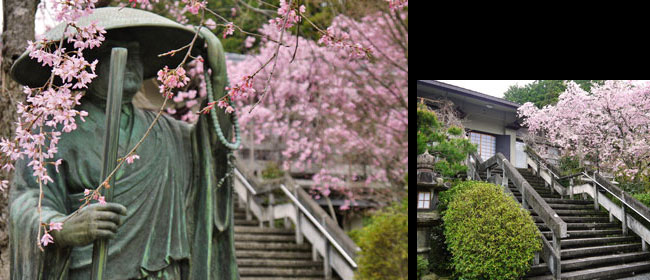 京都右京区順興寺:やしょめ寺
