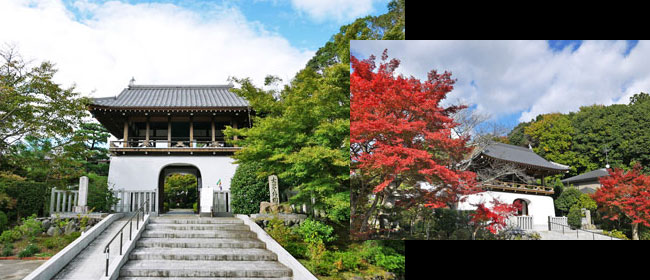 京都右京区転法輪寺