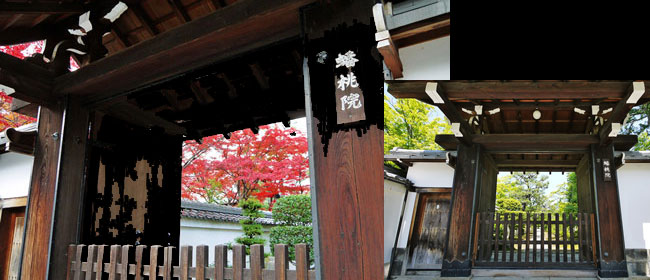 京都右京区蟠桃院(妙心寺)