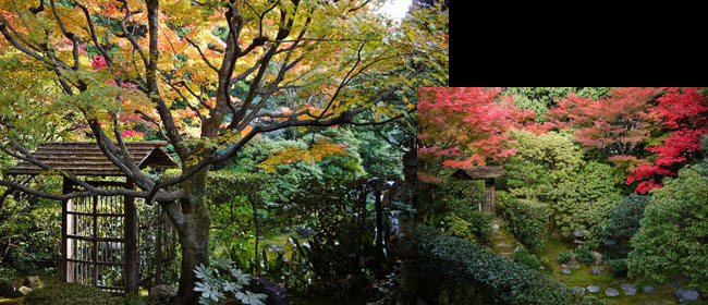 桂春院 (妙心寺)桂春院 (妙心寺)