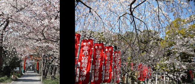 京都山科区花山稲荷神社