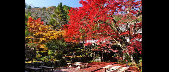京都亀岡市神蔵寺