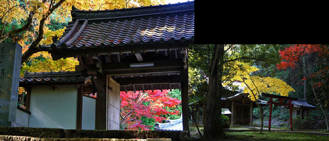 京都亀岡市桜天満宮