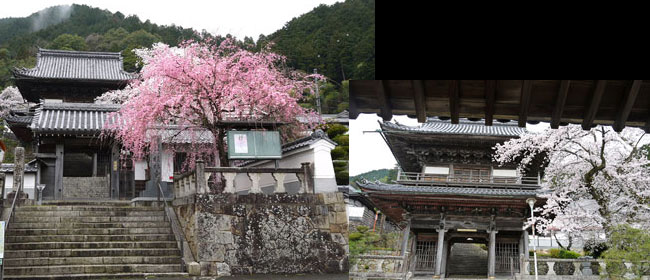 京都舞鶴市桂林寺