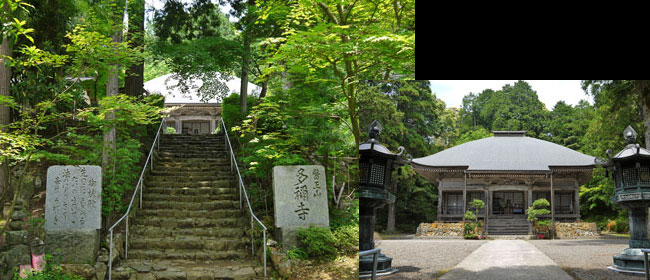 京都舞鶴市多禰寺