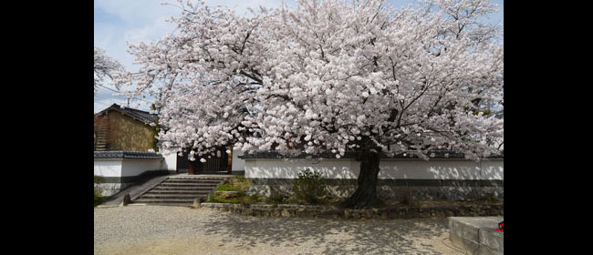 京都木津市安福寺