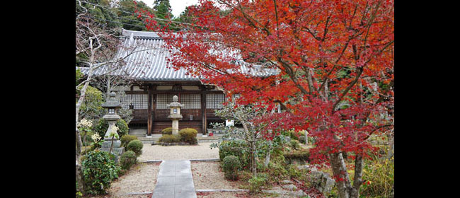 観音寺:普賢寺、大御堂