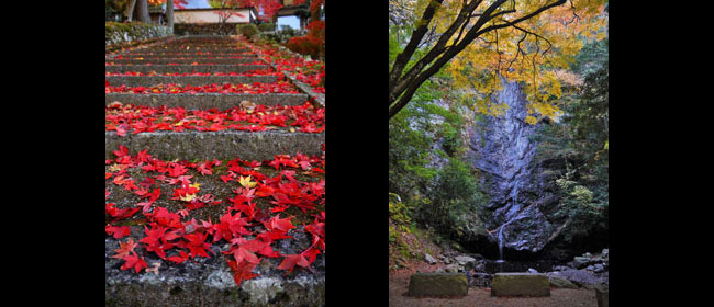 京都船井郡玉雲寺
