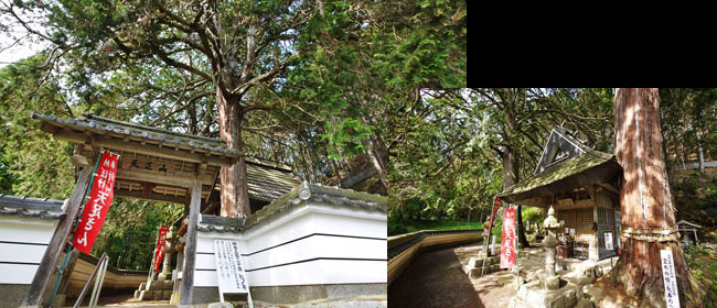 京都船井郡祥雲寺天足堂:天足さん