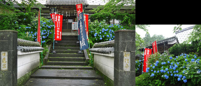 京都船井郡妙行寺