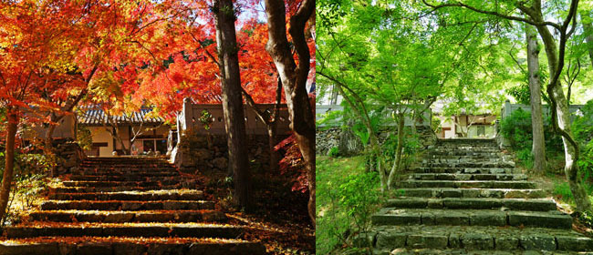 京都相楽郡正法寺(和束町)