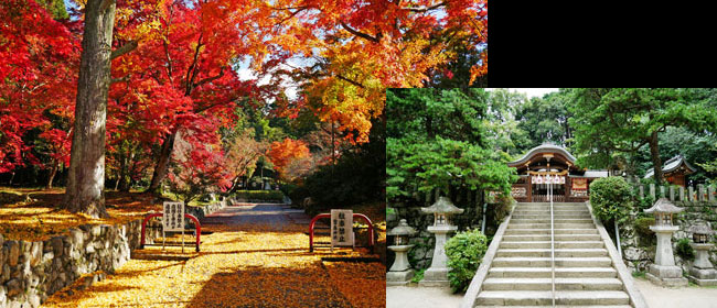 京都左京区鷺森神社