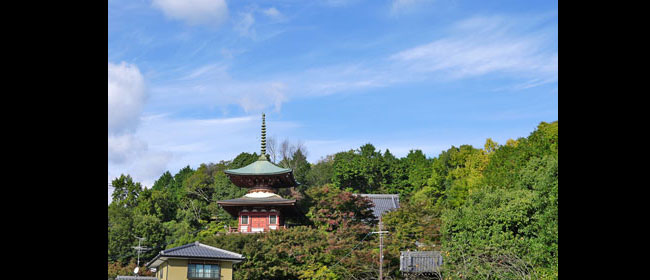 京都左京区三明院