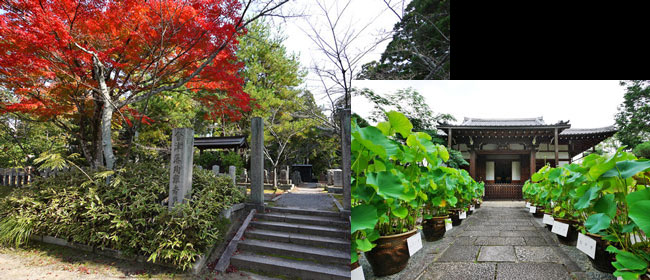 京都左京区西雲院(金戒光明寺):萬日寺