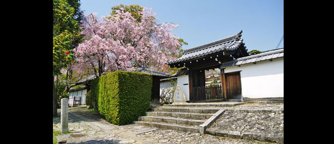 京都左京区永運院(金戒光明寺)