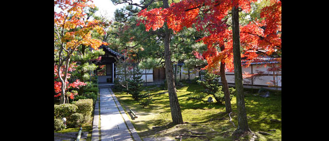 京都東山区西来院(建仁寺)